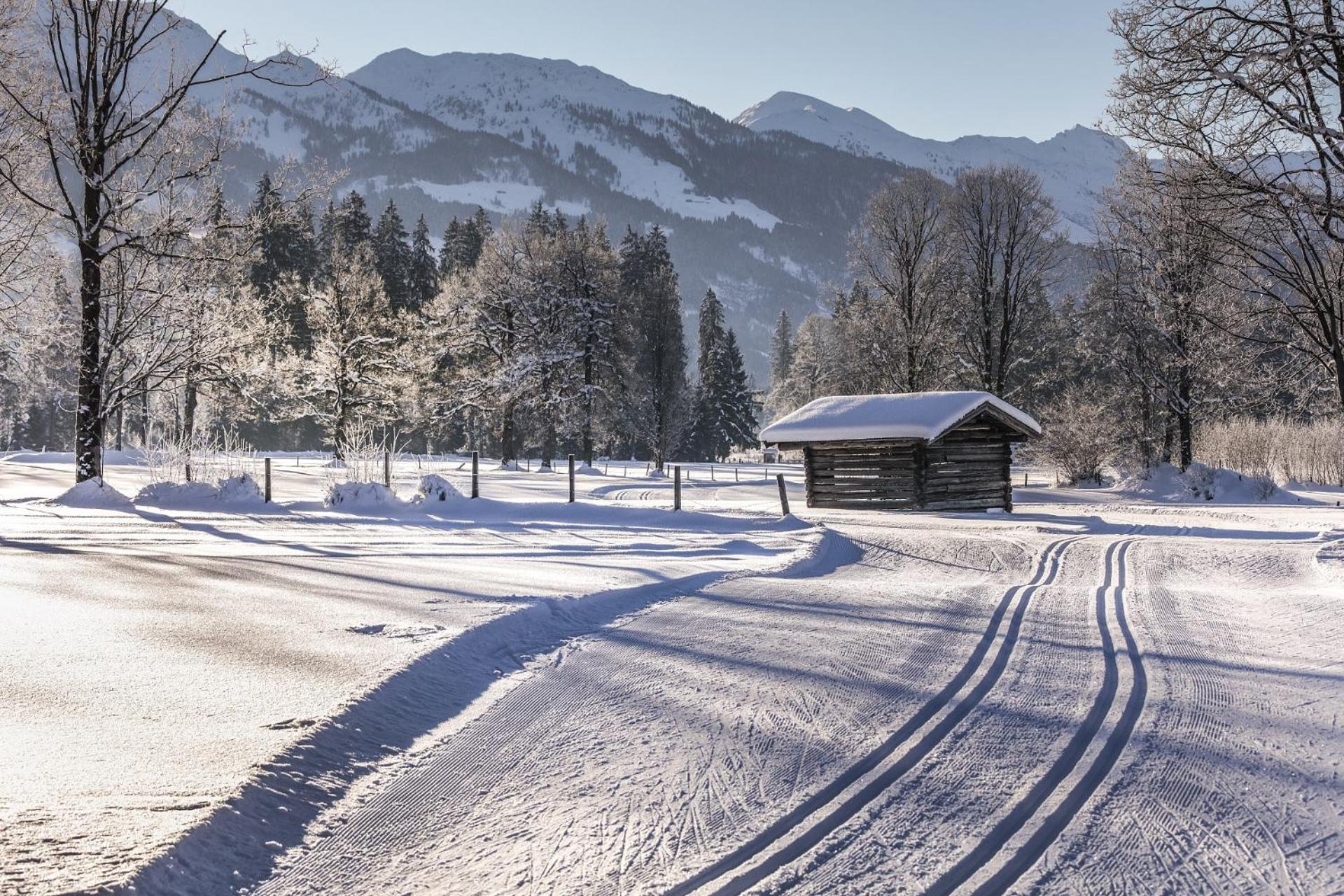 Pension Wolfsegg Kirchberg in Tirol Exterior foto